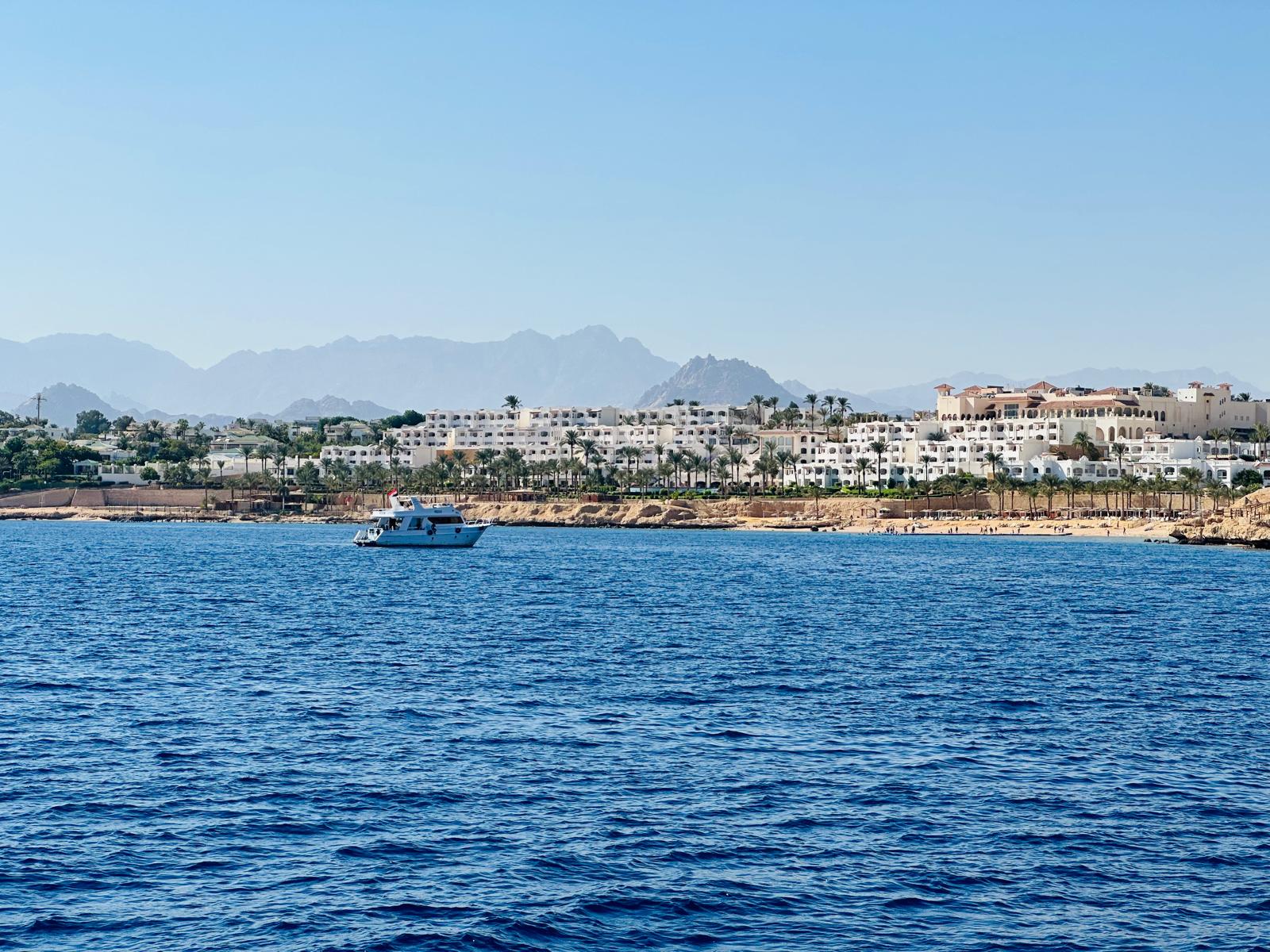 1-Week Trip to Sharm el Sheikh, Egypt: DSMB Specialty and Boat Diving