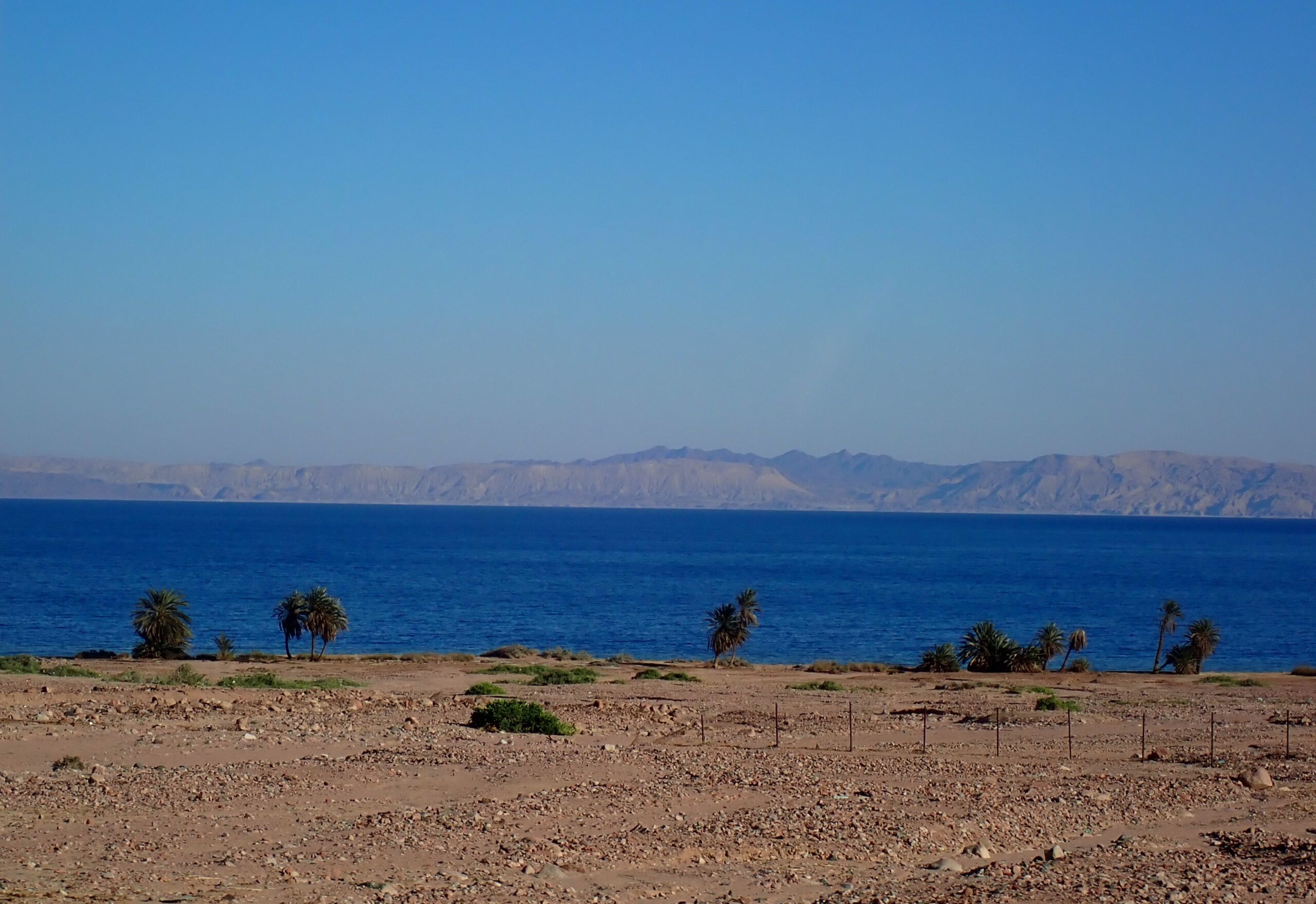 1-Week Dive Trip to Dahab, Egypt in February 2024